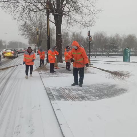 清雪在行动   全力保畅通