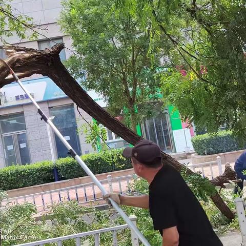 路南防汛：闻讯而动，迅速处置突发事件