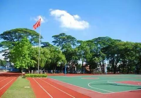 “教”学路漫漫， “研”途皆风景——新教师培训第三天