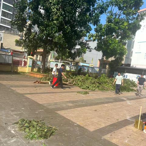 临城中心学校开展台风“摩羯”过后“清洁家园”志愿服务活动