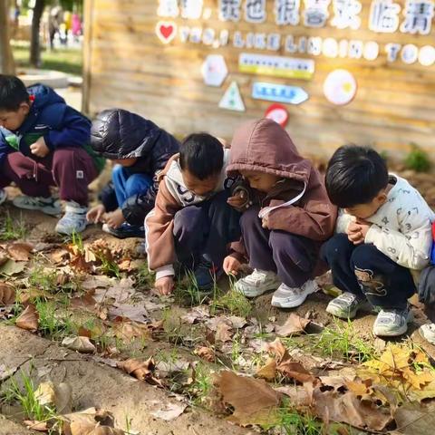 探索·体验·成长—走进自然——红苹果幼教集团乐嘉幼儿园自然教育课程