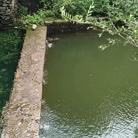 茧厂岭村三零创建，珍爱生命，谨防溺水。