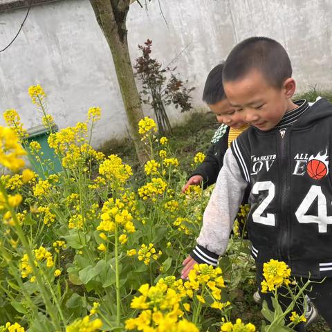 春天来啦