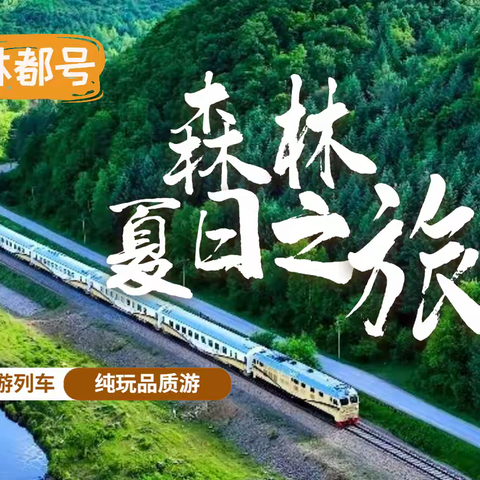 【夏季专列】哈尔滨-伊春|林都号5天4晚高端游