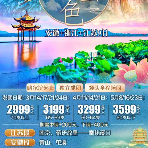 夕阳红小包团-春天我们去看花