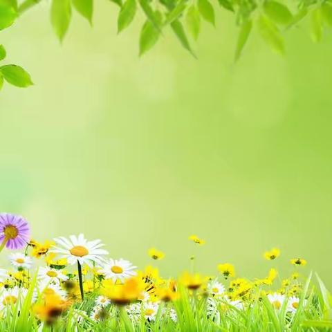 春色满园，教研花开                                    ——记二年级语文集体备课＋研究课精彩瞬间