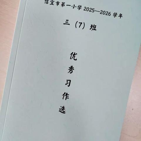 笔尖拾趣，妙笔生花——市一小三（7）班优秀习作展示