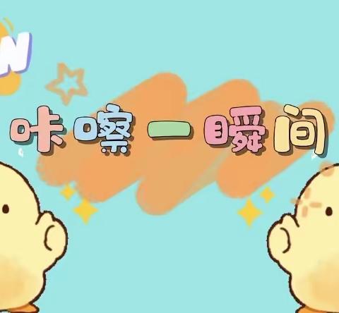 ［博苑润才幼儿园小小托二班］一周小记
