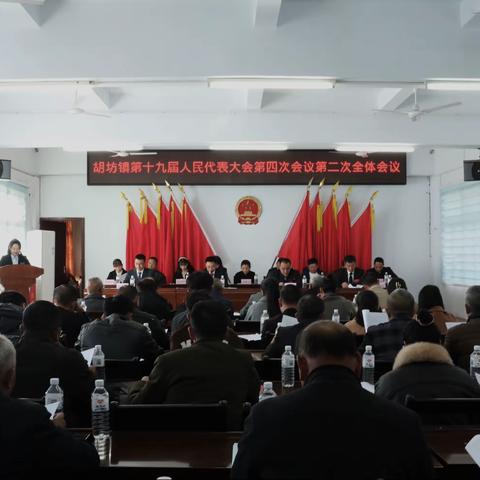 胡坊镇第十九届人民代表大会第四次会议胜利召开