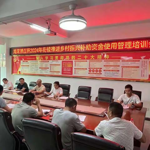 海尾镇2024年召开衔接推进乡村振兴补助资金使用管理培训会