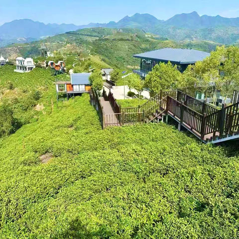 南宽坪镇：专家送技上门  茶农喜上眉梢