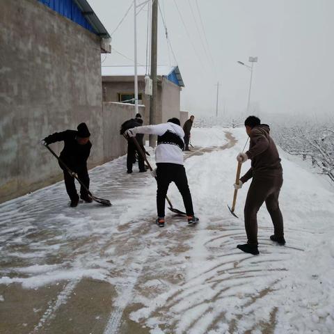 冬日暖人心，扫雪我先行