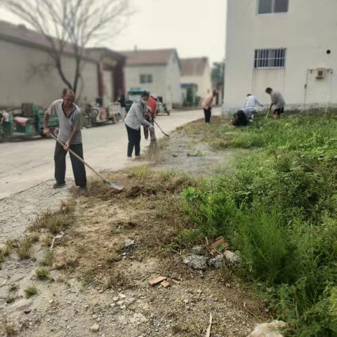 乡村焕新：人居环境整治与农田沟渠疏通的实践成果