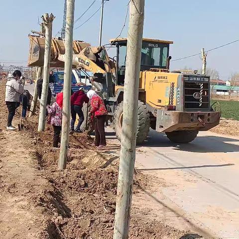 网格员与村民共植绿：乡村道路上的生态接力