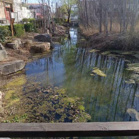 守护碧水清流 ‍ ‍ ‍