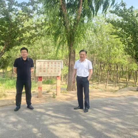 周晨副区长开展巡河活动