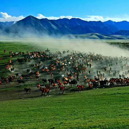 2023山丹马场赛马会公告