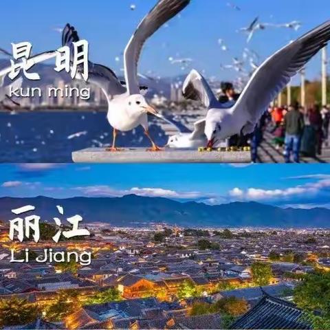 云南旅游，从业16年，熬夜整理的云南旅游攻略，超详细，送给第一次来云南的你。