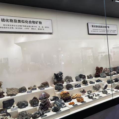 东华理工大学博物馆2