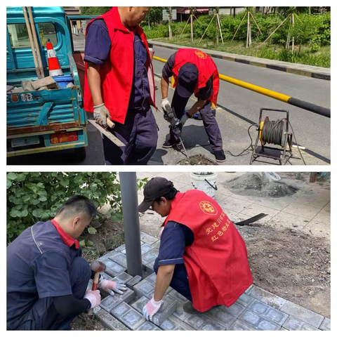 多措并举提升物业服务品质共建美好家园 —深科园物业服务品质提升专题报道2025年6月第01期 总第9期