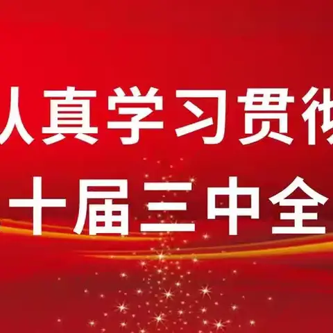 资产负债管理部党支部学习贯彻 ﻿党的二十届三中全会精神