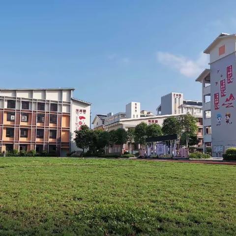 巡梦而行，向阳而生——百色市右江区迎龙第三小学第十三周工作总结