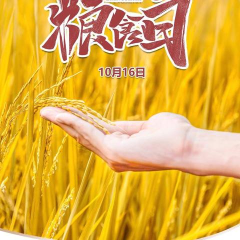 珍惜粮食  励行节俭 ---实验小学二(五)班“世界粮食日”主题教育活动