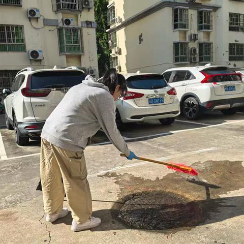 吉阳区营商环境建设局持续开展爱国卫生整治活动