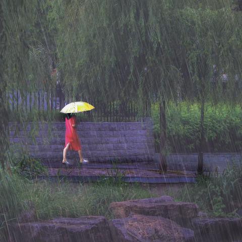 雨中公园小景