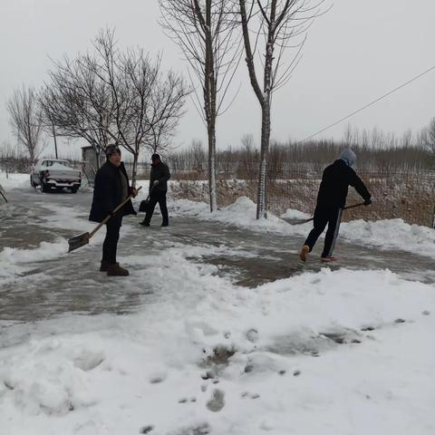 初雪见初心     扫雪志愿行