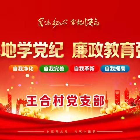 王合村党支部组织了“红色基地学党纪  廉政教育强党性”为主题的红色教育基地参观活动