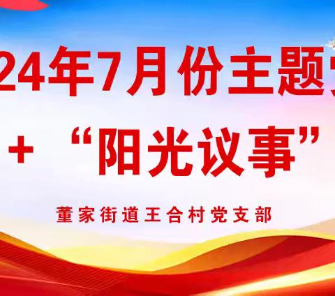 王合村2024年7月份主题党日+“阳光议事”