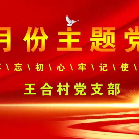 王合村8月份主题党日活动