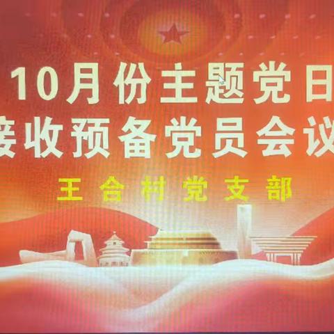 王合村党支部10月份主题党日暨入党纳新活动