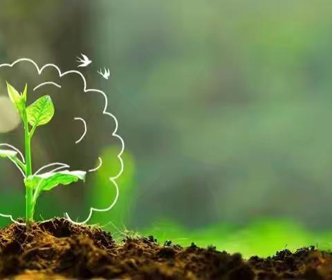 播种春天，点亮未来——春华秋实托辅中心3月第二期植树活动