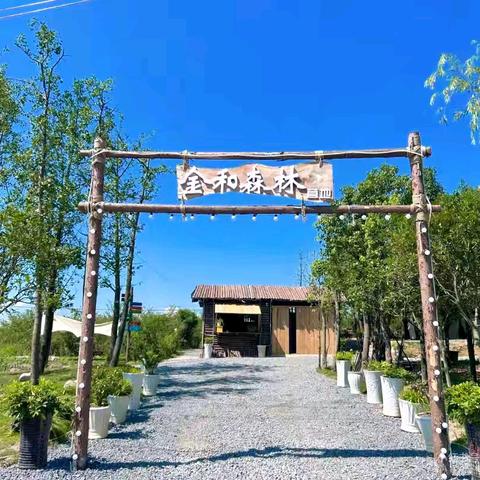 拥抱大森林🌲 萌娃趣烧烤🏕️