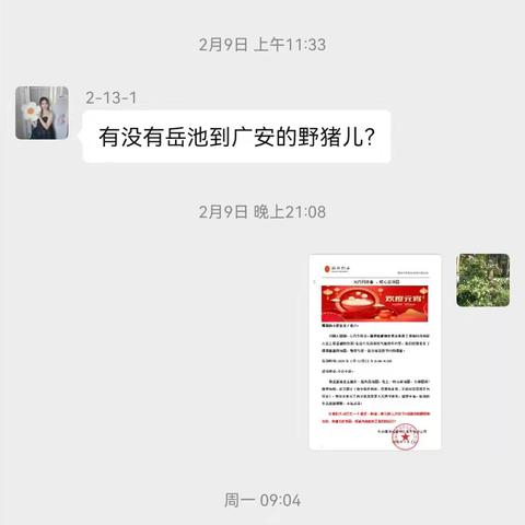 元宵佳节，点亮心灯 共绘美好愿景