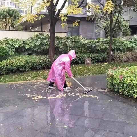 【白桦林溪】清扫落叶，守护美好家园