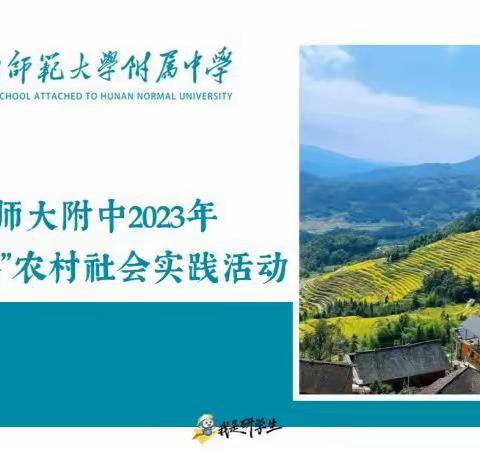 向往的生活，有诗有茶有远方 ———记湖南师大附中G2203班学农劳动实践活动（三）