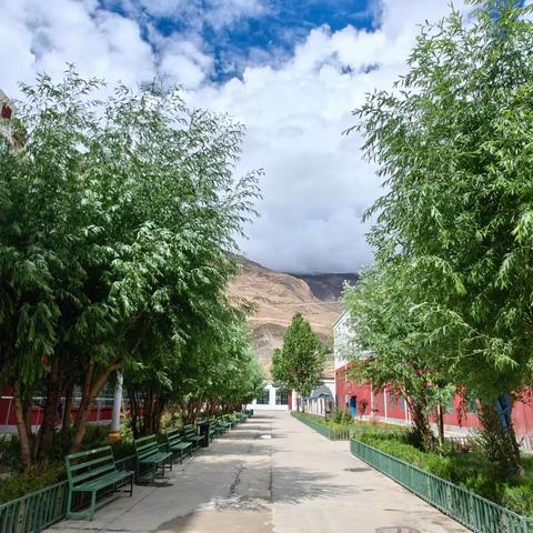 同心蓄力启征程   龙腾云海迎新春   —————仁布县中学2024年春季开学致师生员工的一封信