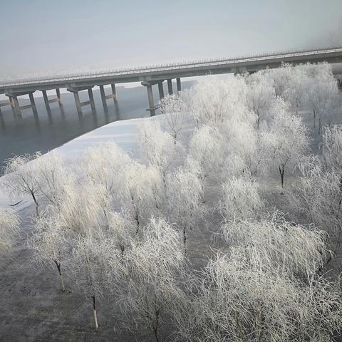 回忆2019年1月13日（农历腊八节）~为奶奶祝寿