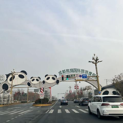 龙游天下旅行福——成都我们来了