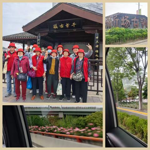 春游新场古镇 品味人间烟火