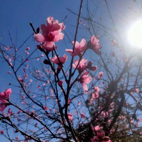 那一抹藏蓝