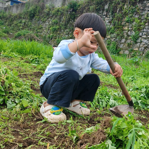 织金县少普镇中心幼儿园家园劳动教育实践活动