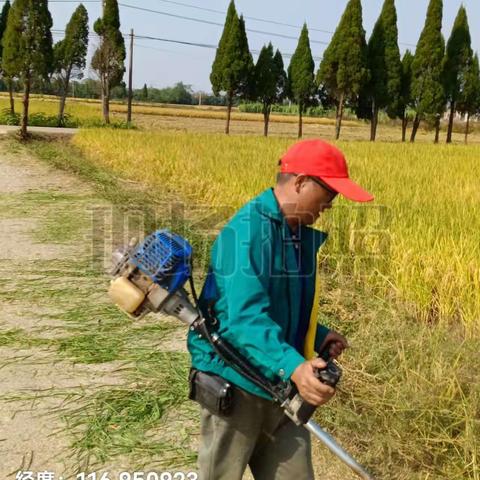 饶埠镇城乡环境卫生整治工作周报