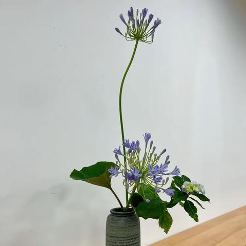 因为爱美，我们相聚在花艺班～2023年市工人文化宫花艺班