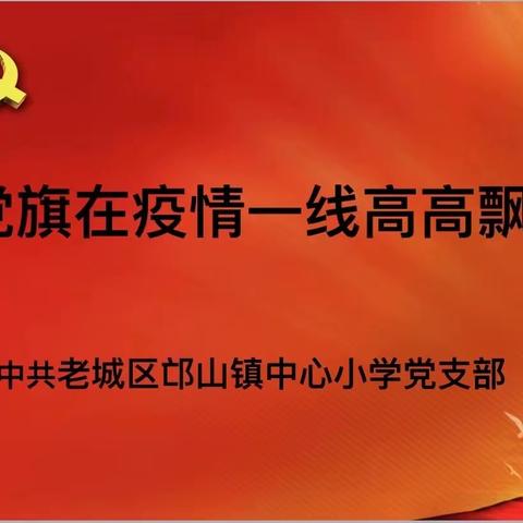 疫情防控强使命，党旗飘扬践初心——“党旗在疫情一线高高飘扬”活动纪实