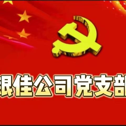 山西分行银佳公司党支部开展“学党纪 知敬畏 强党性 做先锋”主题党日活动