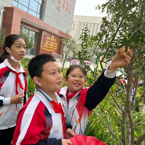 快乐采摘  芳香四溢—记安国市第二实验小学劳动周实践活动暨首届采摘节